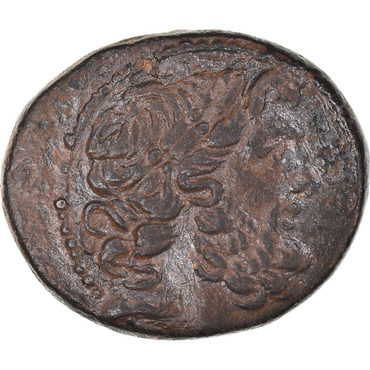 minca,
 
 Seleucus a Pieria,
 
 Pseudoautonómne