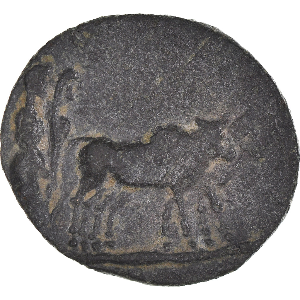 minca,
Macedónsko,
Augusta