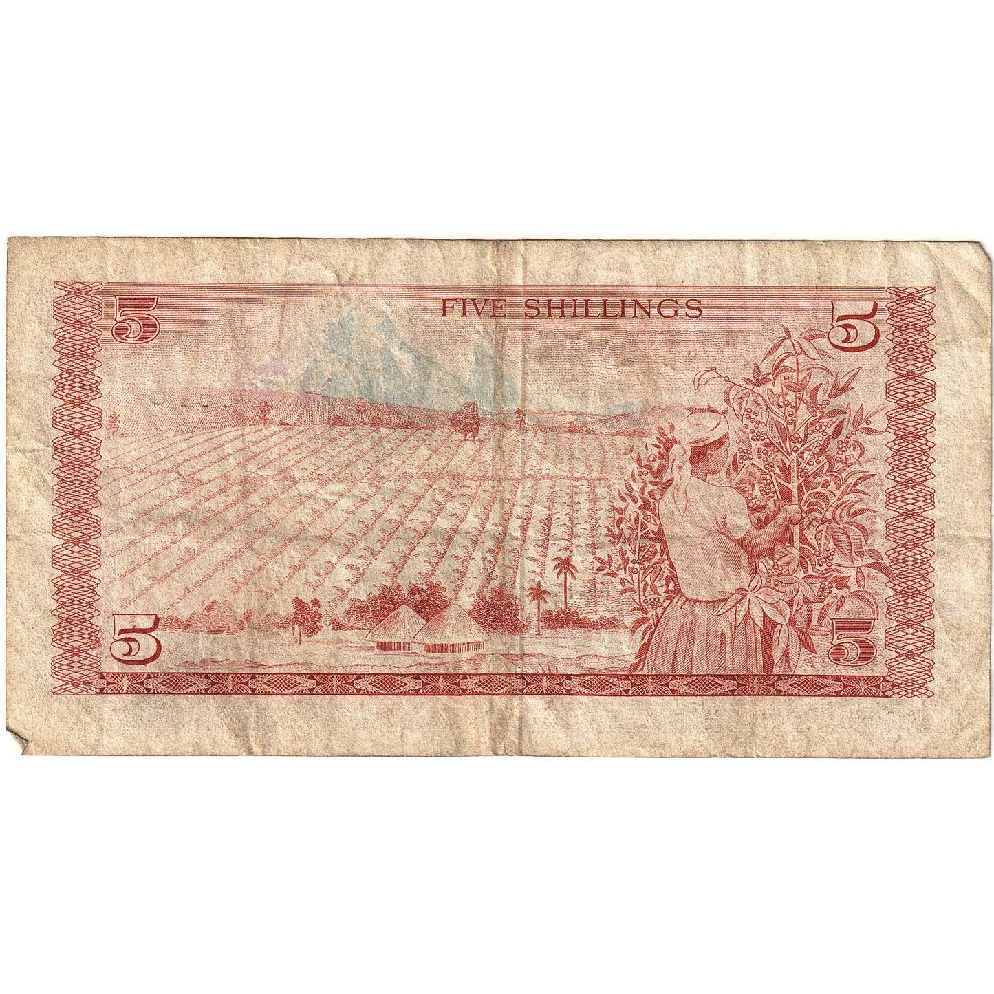 Keňa,
 
 5 šilingov,
 
 1978