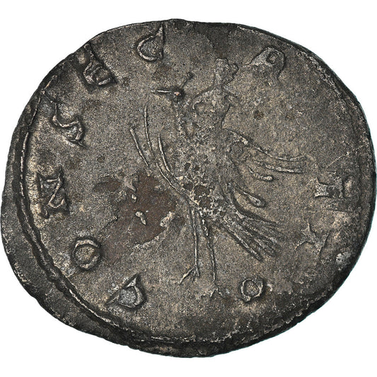 minca, 
  
  mariiana, 
  
  Antoninian
