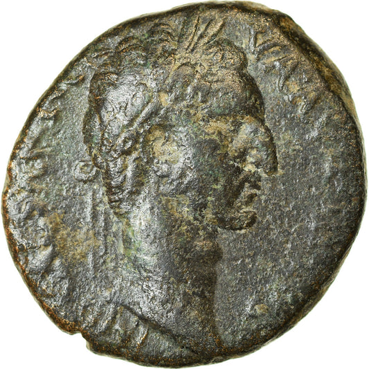 minca, 
  
  Seleucus a Pieria, 
  
  Nervové