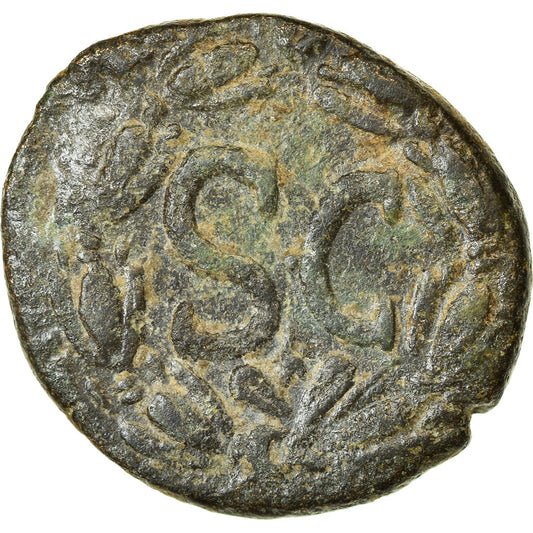 minca, 
  
  Seleucus a Pieria, 
  
  Nervové