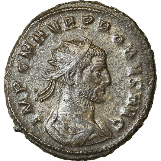 minca, 
  
  Probus, 
  
  Antoninian