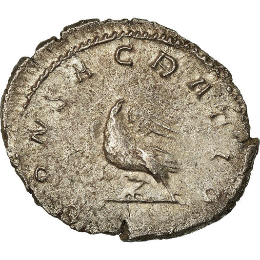 minca,
 
 Valerián II.,
 
 Antonianos