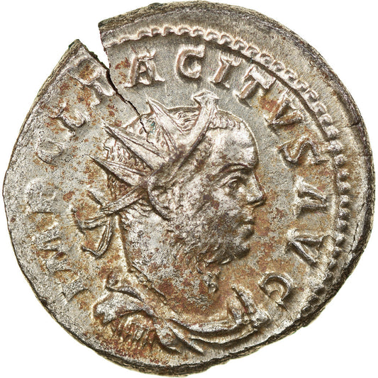 minca, 
  
  Tacitus, 
  
  Aurelian