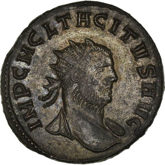 minca, 
  
  Tacitus, 
  
  Antoninian