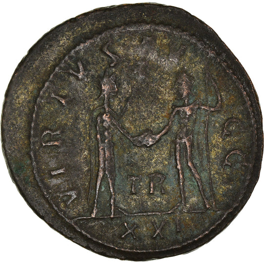 minca, 
  
  Carusa, 
  
  Antoninian