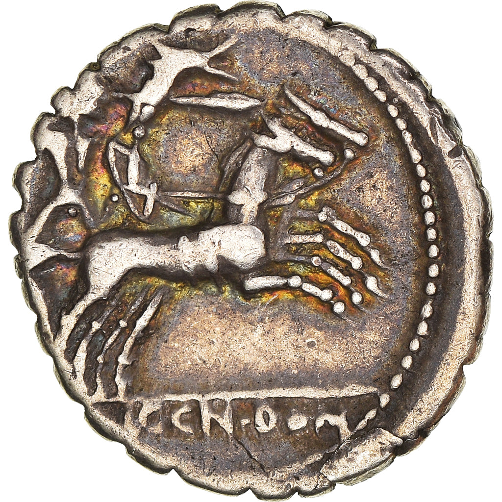 minca,
pavučiny,
Serratus denár