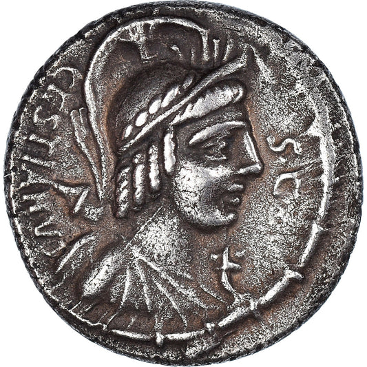 minca, 
  
  tanier, 
  
  dinár