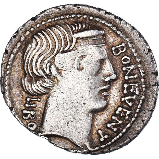 minca, 
  
  scribonia, 
  
  dinár