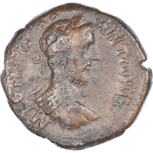 minca, 
  
  bod, 
  
  Commodus