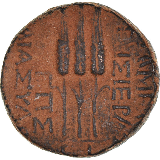 minca,
 
 Seleucus a Pieria,
 
 Bronzová