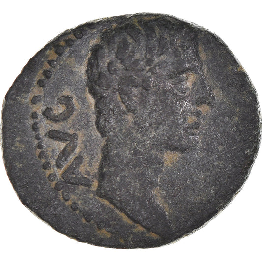 minca, 
  
  Macedónsko, 
  
  Augusta
