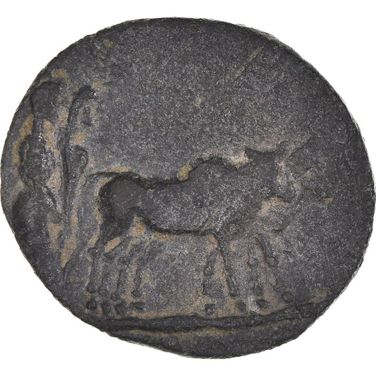 minca, 
  
  Macedónsko, 
  
  Augusta