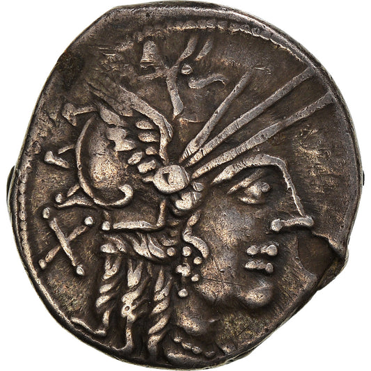 minca, 
  
  papyrus, 
  
  dinár