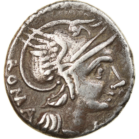 minca, 
  
  flaminia, 
  
  dinár