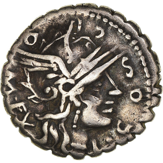 minca, 
  
  pavučiny, 
  
  Serratus denár