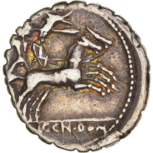 minca, 
  
  pavučiny, 
  
  Serratus denár